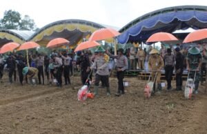 Dukung Swasembada Pangan, Polda Papua Barat Gelar Penanam Jagung di Lahan 6,75 Hektar