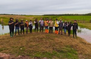 Kementan Optimalisasi Waduk Rawa Mayo Di Merauke