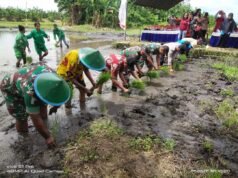 Dorong Pertanian Modern, Polbangtan Kementan Berkolaborasi dengan SMK Kembangkan Inkubator Penangkar Benih Unggul