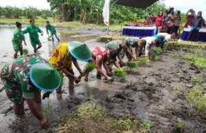 Dorong Pertanian Modern, Polbangtan Kementan Berkolaborasi dengan SMK Kembangkan Inkubator Penangkar Benih Unggul